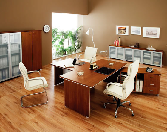 mobilier directorial